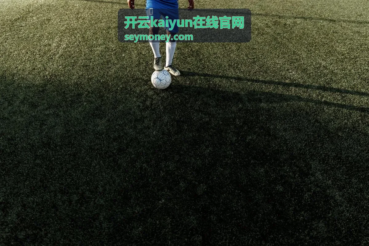 开云kaiyun在线官网首页在线服务入口概览