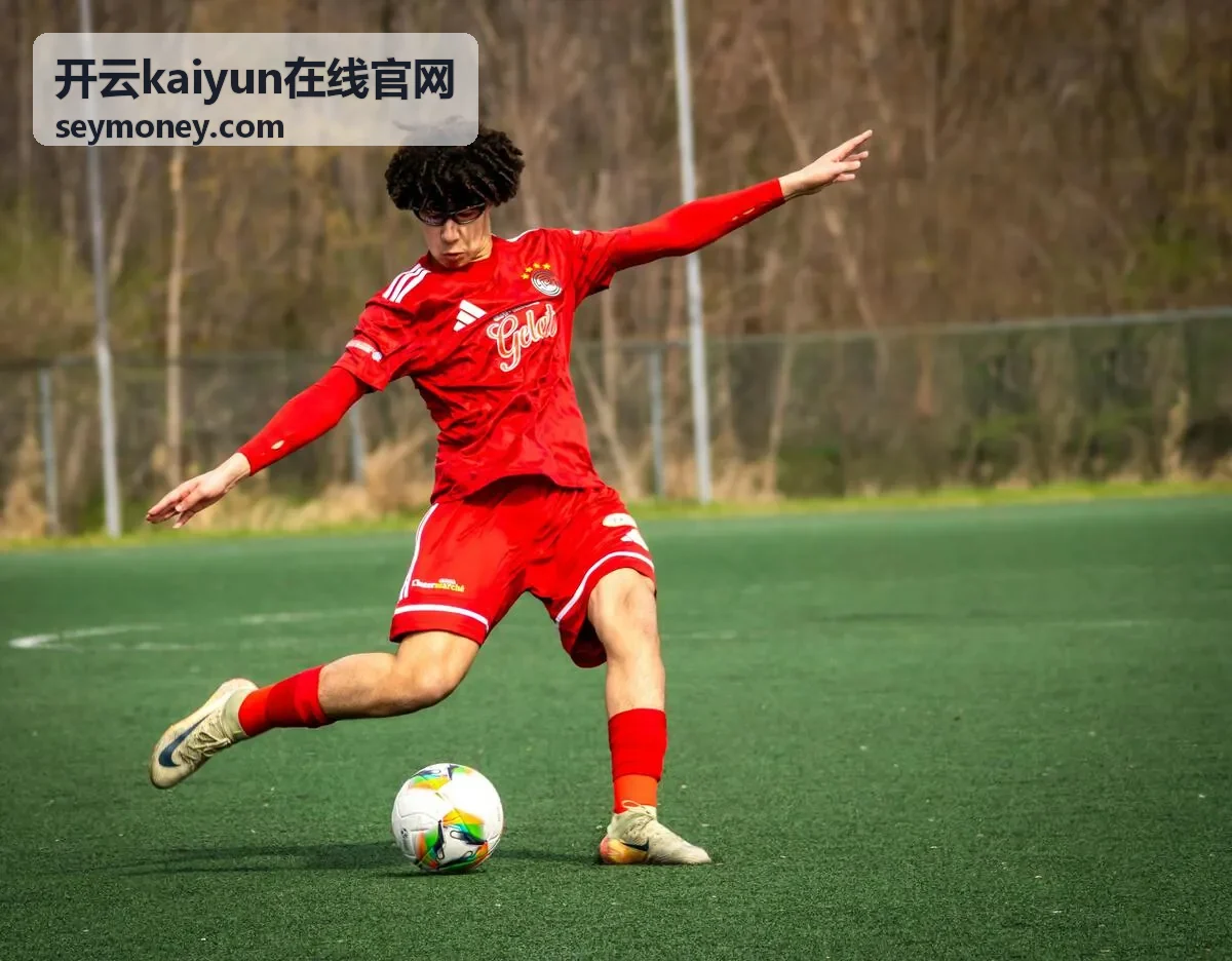 开云kaiyun在线官网在线服务查询界面示意