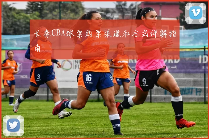 长春CBA球票购票渠道和方式详解指南