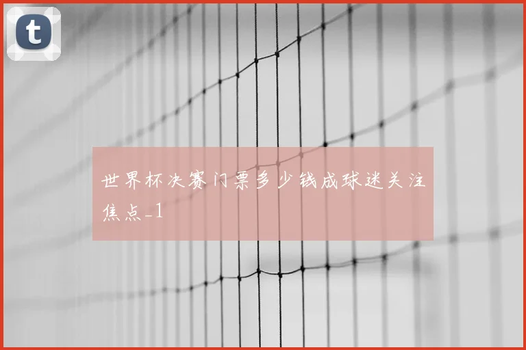 世界杯决赛门票多少钱成球迷关注焦点_1