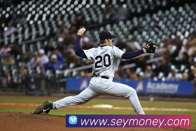 世界杯注册官网发展历程